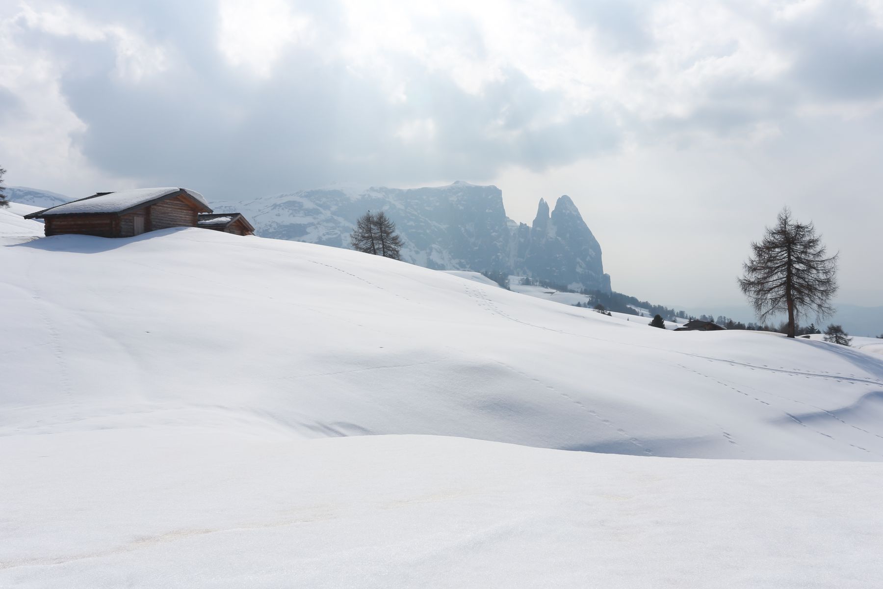 winter